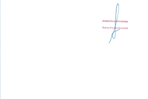 Sprawozdanie Starosty page-0008